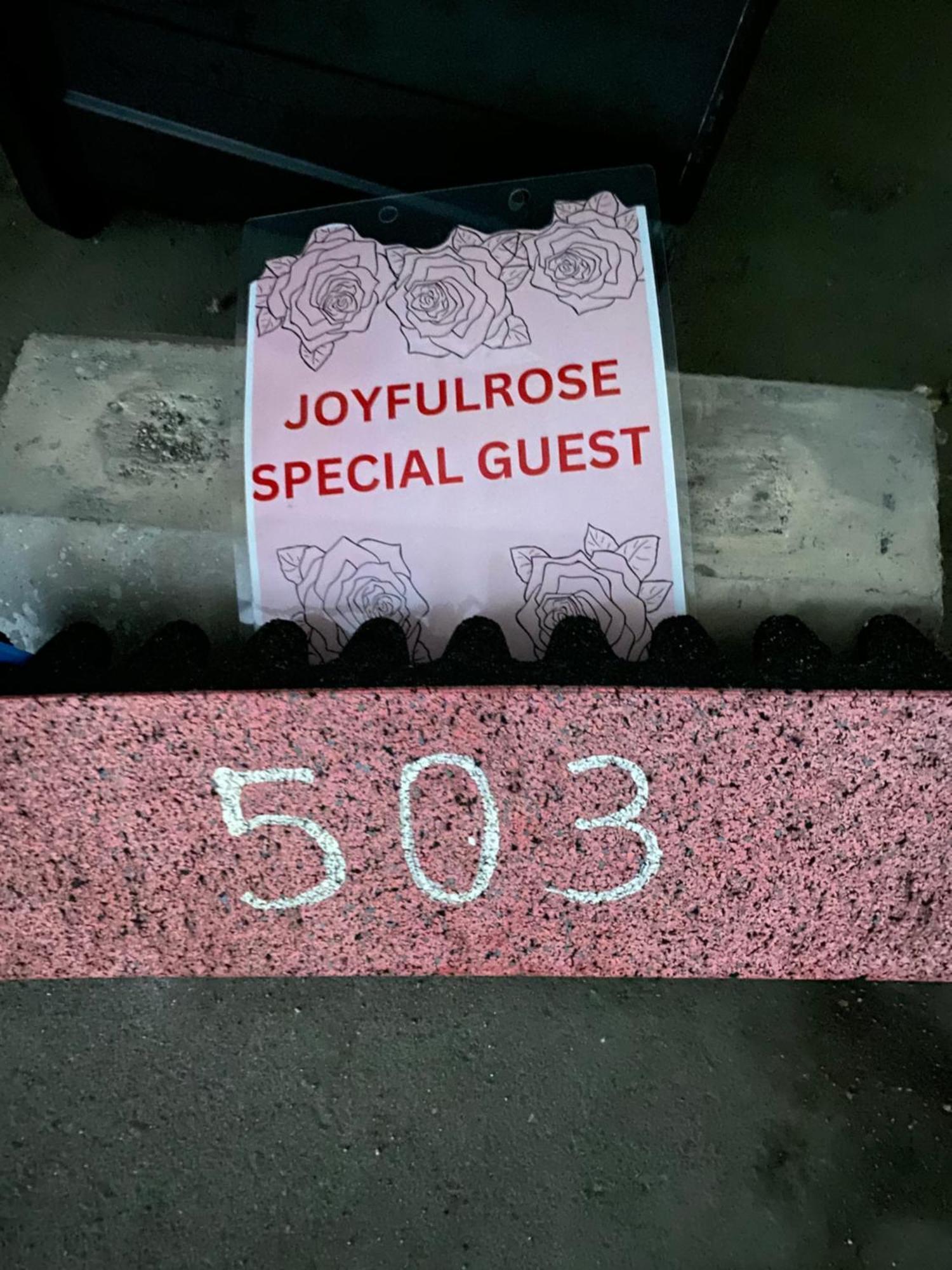 Апартаменты Joyful Rose Гинован Экстерьер фото